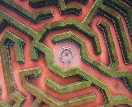 Amazing Hedge Puzzle