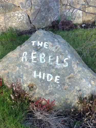 Rebels Hide